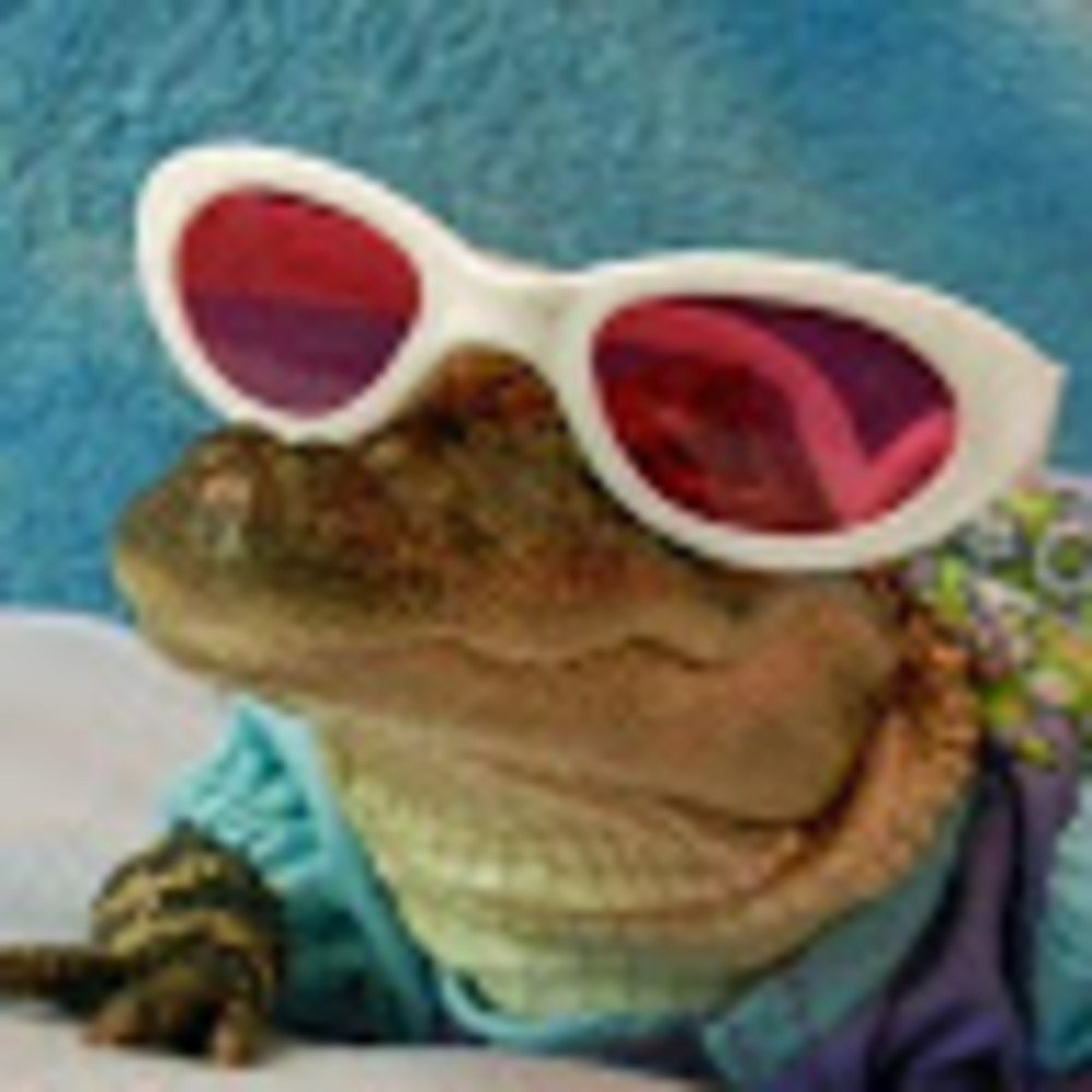 Meet your Posher, Rachel